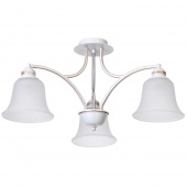 Потолочный светильник Arte Lamp  EMMA A2713PL-3WG