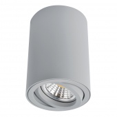 Потолочный светильник Arte Lamp  SENTRY A1560PL-1GY