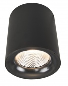 Потолочный светильник Arte Lamp  FACILE A5118PL-1BK